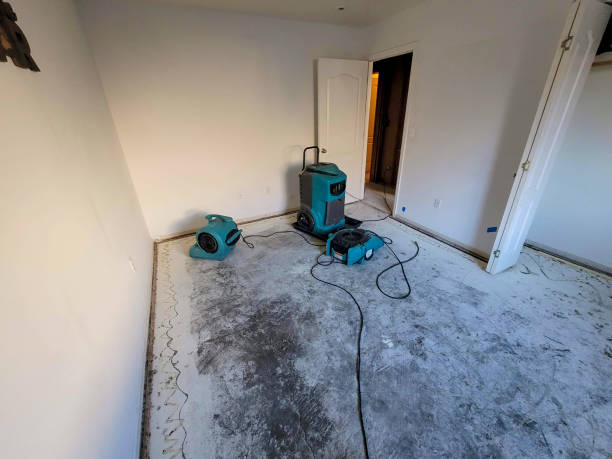 Best Emergency water damage restoration  in Passapatanzy, VA