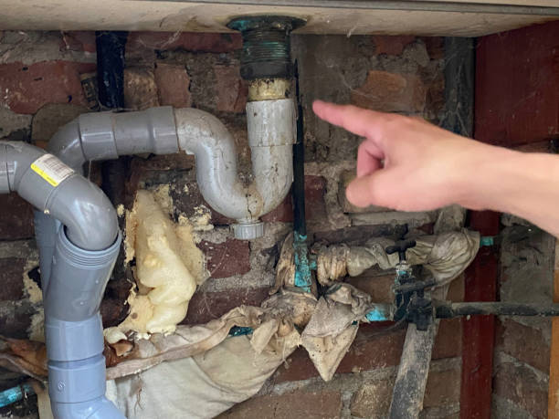 Best Sewage cleanup and water damage restoration  in Passapatanzy, VA