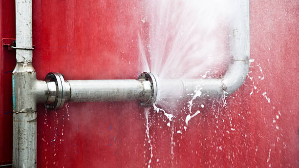 Best Water damage mitigation services  in Passapatanzy, VA